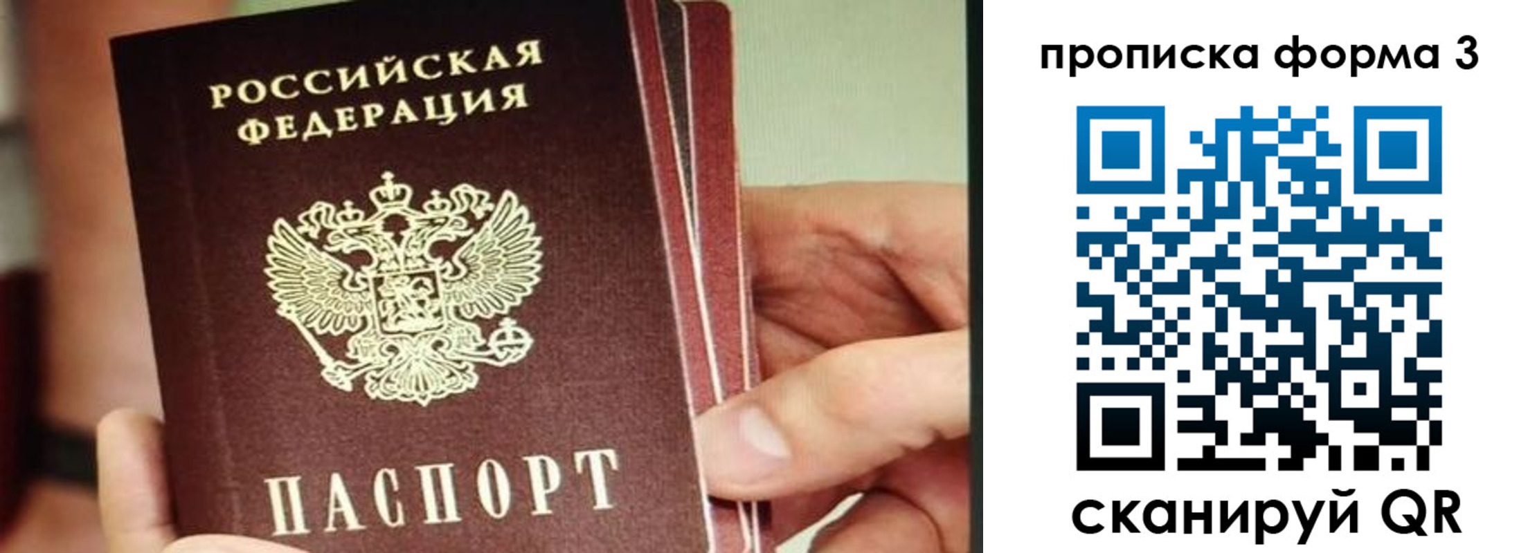 прописка законно в Зернограде